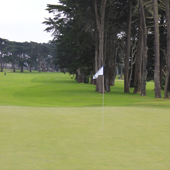 TPC Harding Park, golf in Northern golf in California, California, Golf, Golf Destination review, Golf holidays in Northern California, golf tours in Northern California, Golf holidays in California, golf tours in California, Golf holidays, golf tours